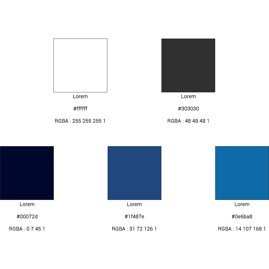 les codes couleurs utilisés pour la création de cette page web réalisé par sandra castanon web designer